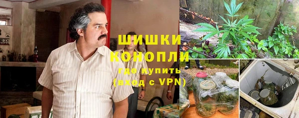 spice Осинники