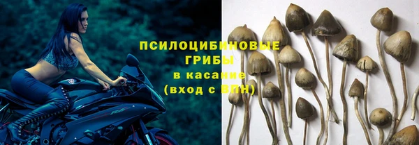 прущая мука Остров