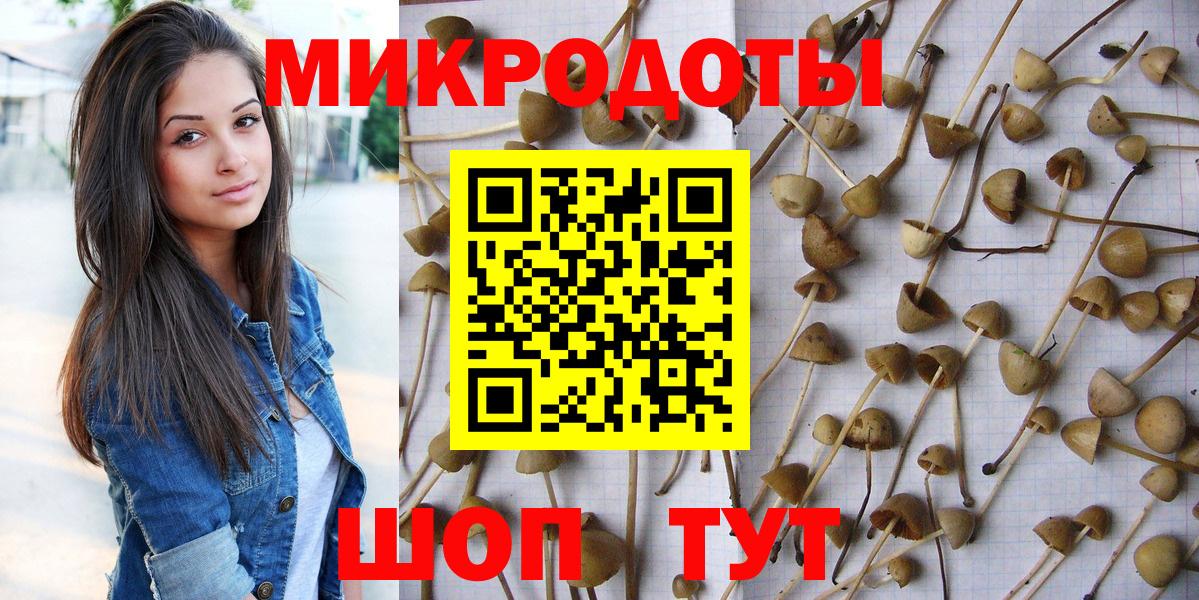 Галлюциногенные грибы Magic Shrooms  Вход с VPN  Псилоцибиновые грибы мицелий  Новозыбков 
