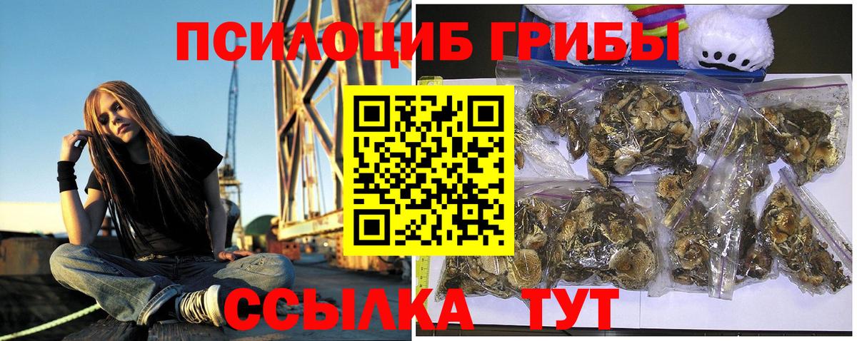 Галлюциногенные грибы мицелий Новозыбков