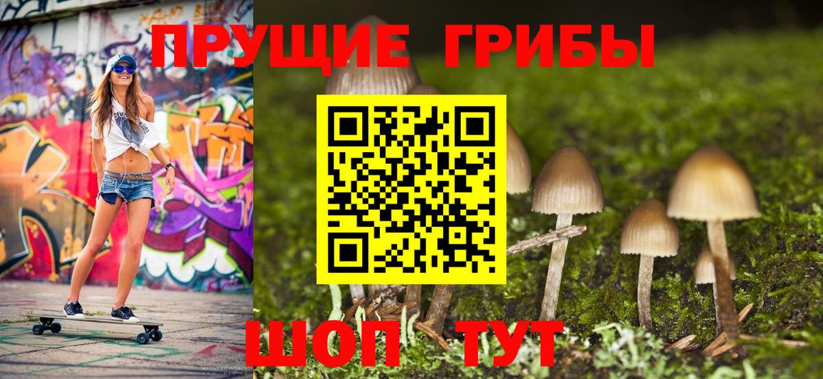 Псилоцибиновые грибы мицелий Новозыбков