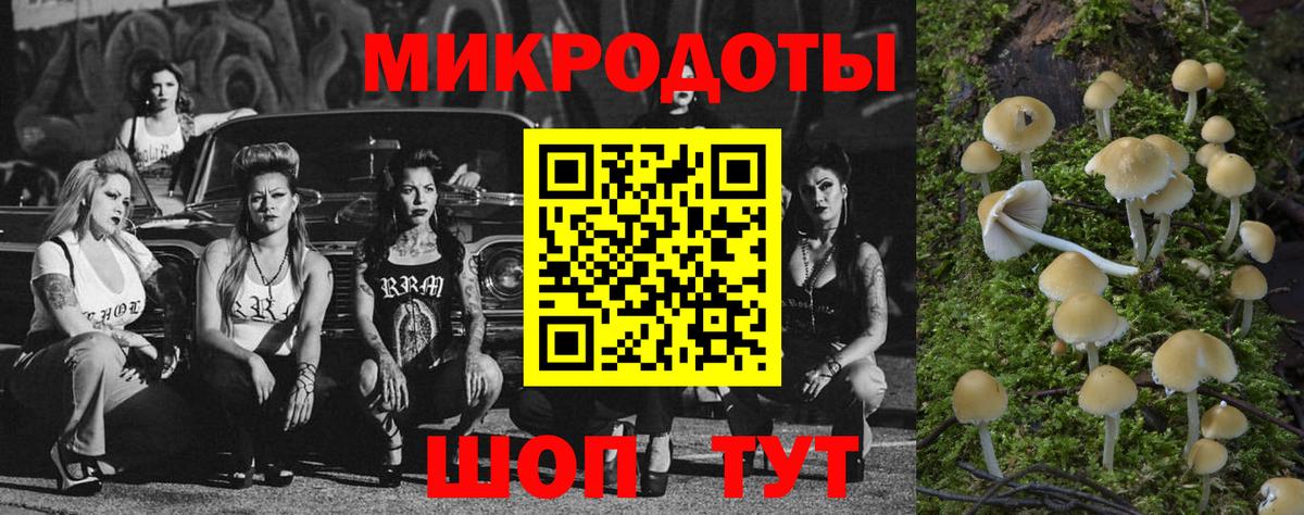 Псилоцибиновые грибы мицелий  наркошоп  Новозыбков 